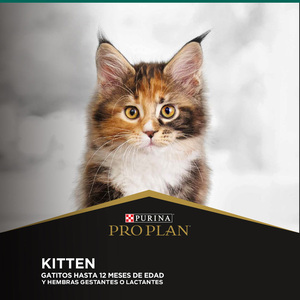 Pro Plan Alimento Seco para Gatitos de Todas las Razas, 3 kg