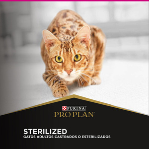 Pro Plan Alimento Seco para Gato Esterilizado de Todas las Razas, 3 kg