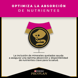 Pro Plan Alimento Seco para Gato Esterilizado de Todas las Razas, 3 kg