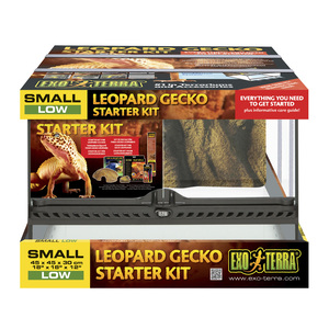 Exo Terra Kit de Inicio para Gecko Leopardo