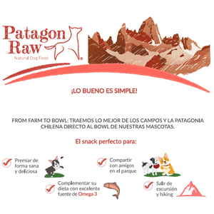 Patagon Raw Snack Natural  Salmón para Perro, 40 g