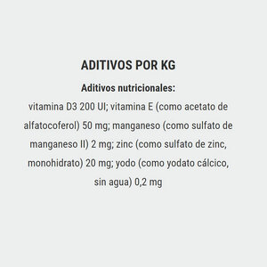 Belcando Alimento Natural Húmedo para Adulto Sabor Cordero Patatas con Arándanos Pouch Perro, 125 g
