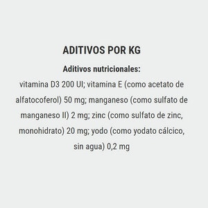 Belcando Alimento Natural Húmedo para Adulto Sabor Venado Arándanos y Mijo Pouch Perro, 125 g