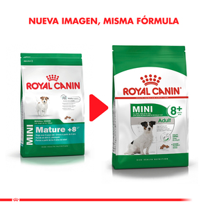 Royal Canin Alimento Seco para Perro Senior 8+ Raza Pequeña, 3 kg