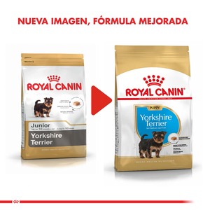 Royal Canin Alimento Seco para Cachorro Raza Yorkshire Terrier, 3 kg