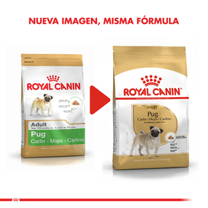 Royal Canin Alimento Seco para Perro Adulto Raza Pug, 2.5 kg
