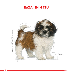 Royal Canin Alimento Seco para Cachorro Raza Shih Tzu, 2.5 kg