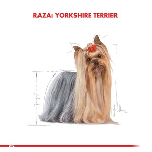 Royal Canin Alimento Seco para Perro Adulto Raza Yorkshire Terrier, 7.5 kg