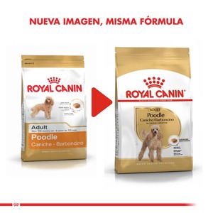 Royal Canin Alimento Seco para Perro Poodle Adulto, 7.5 kg