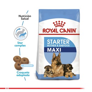 Royal Canin Alimento Seco para Perro Lactancia Maxi, 10 kg
