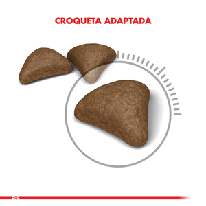 Royal Canin Alimento Seco para Gato Intense Hairball, 1.5 kg