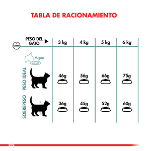 Royal Canin Alimento Seco para Gato Intense Hairball, 1.5 kg