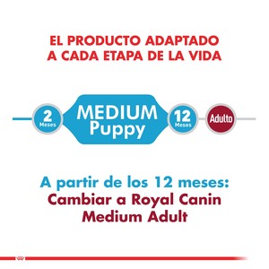 Royal Canin Alimento Húmedo para Medium Cachorro Pouch, 140 g