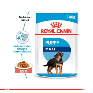 Royal Canin Alimento Húmedo para Maxi Cachorro Pouch, 140 g