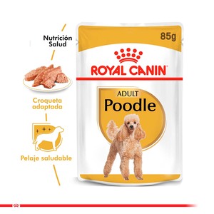 Royal Canin Alimento Húmedo para Poodle Adulto Pouch, 85 g