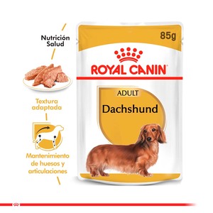Royal Canin Alimento Húmedo para Dachshund Adulto Pouch, 85 g