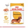 Royal Canin Alimento Húmedo para Dachshund Adulto Pouch, 85 g
