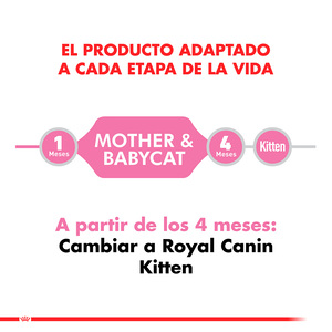 Royal Canin Alimento Húmedo para Gato Senior Instinctive +7 Pouch, 145 g