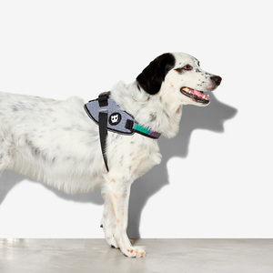 Zee.Dog ACG FlyHarness Arnés Ultraligero Color Gris para Perro, X-Chico