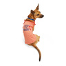 Youly Polera sin Mangas Rosa Wild & Free para Perro, X-Grande