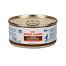 Royal Canin Alimento Húmedo de Prescripción Gastrointestinal para Gato Lata, 145 g