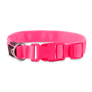 Good2Go Collar Reflejante con Luz LED Recargable Color Rosa para Perro, Mediano